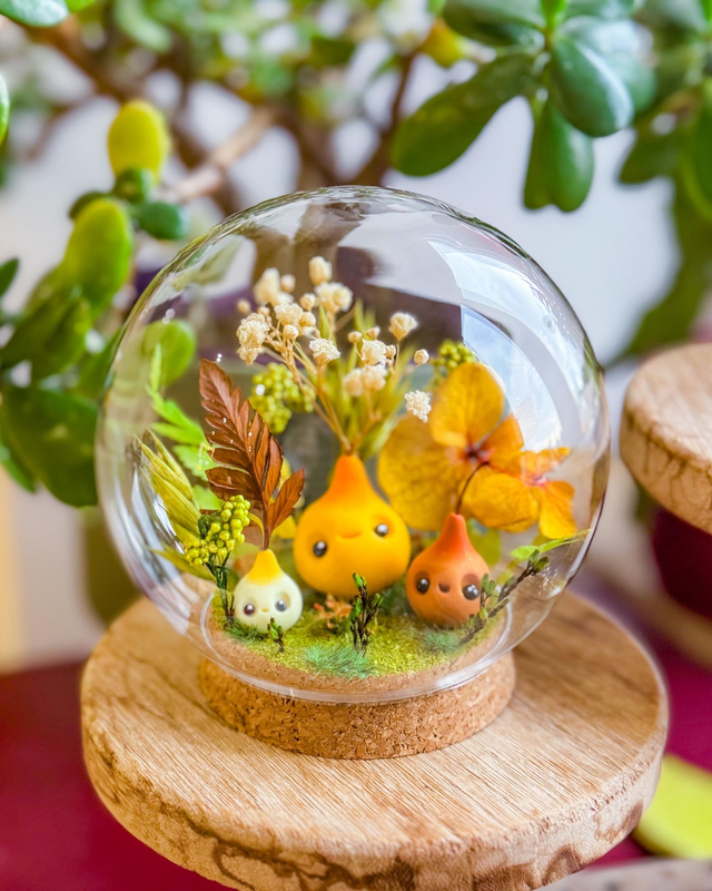 Bulle de p'tites pousses / Automne verdoyant / Bulle en verre