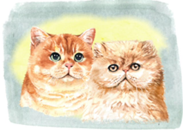 Hand made Cards - Cats