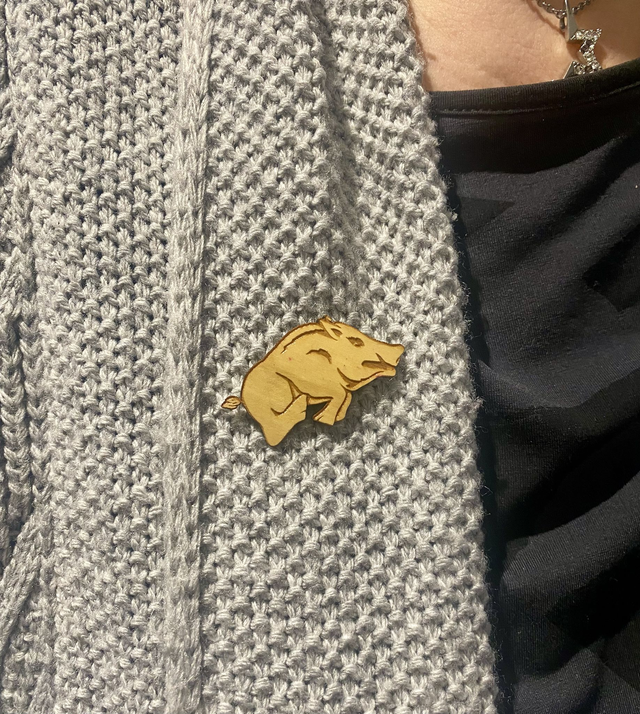 PINS
