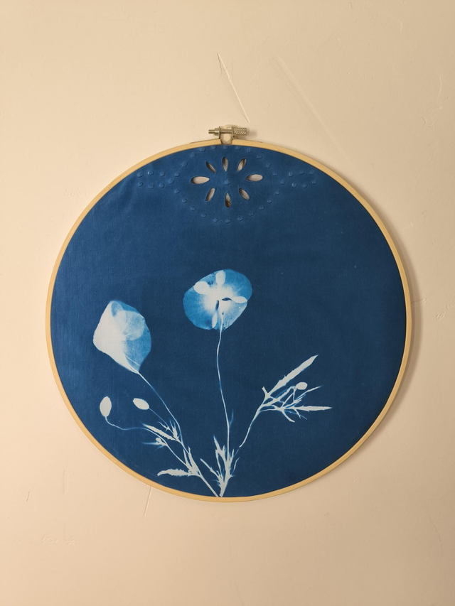 Cyanotype - « Coquelicots » sur drap ancien
