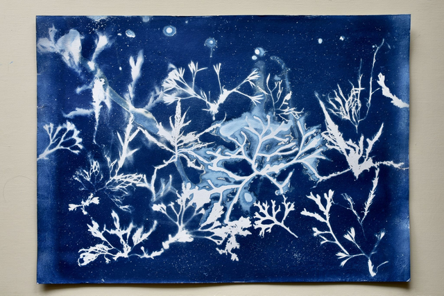 Algae - Galaxia Aquatica 2.2 - 50 x 70 cm 