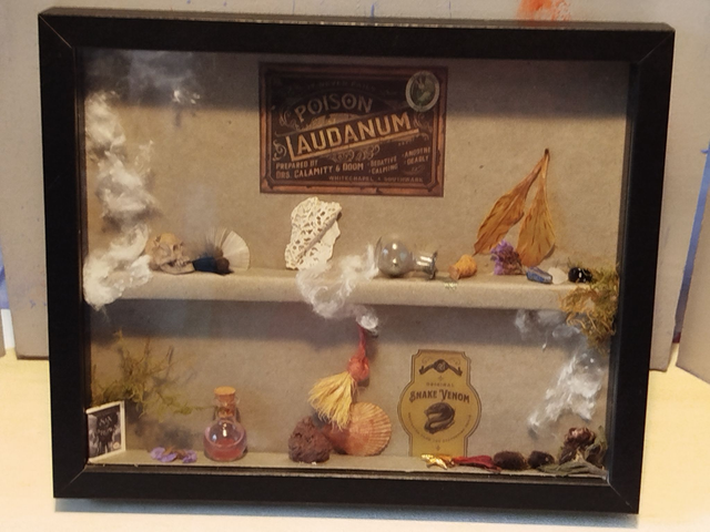 Cabinet de curiosité 3