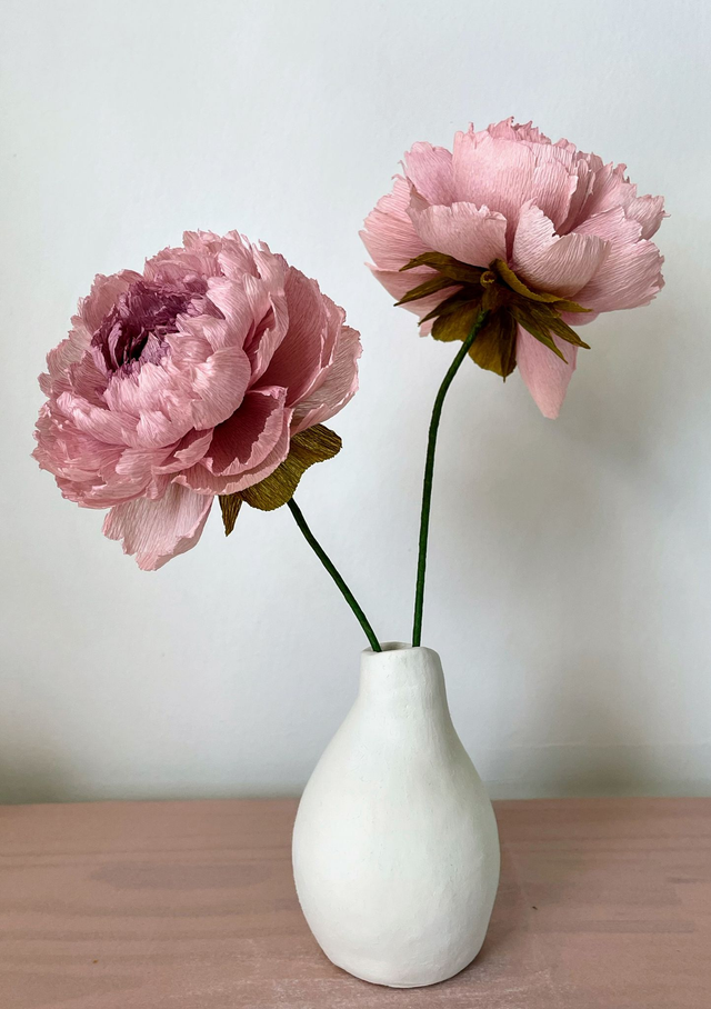 Pivoine "Almaé" avec son vase artisanal offert