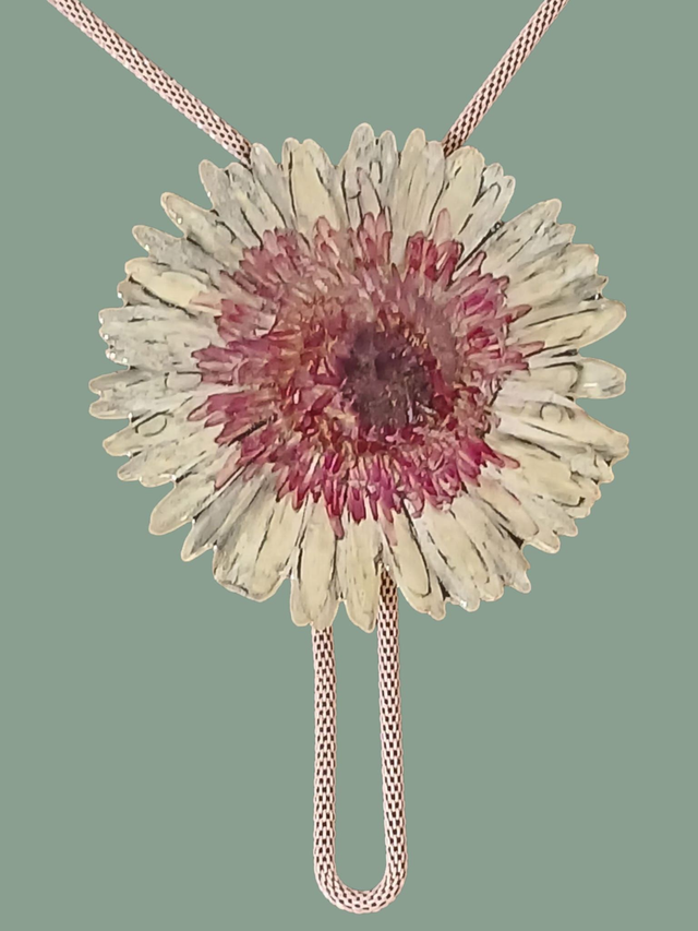 Colgante/  Corbata de bolo gerbera dos colores (Mediana)