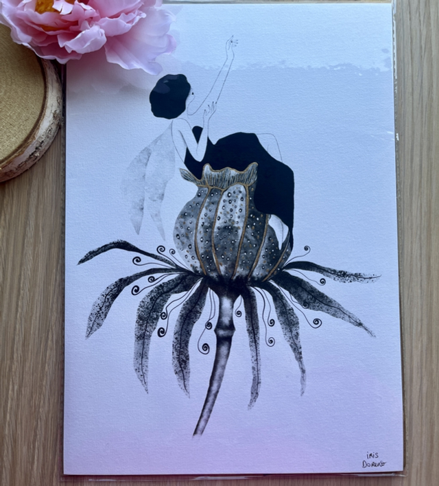 Illustration « fleur de pavot » 