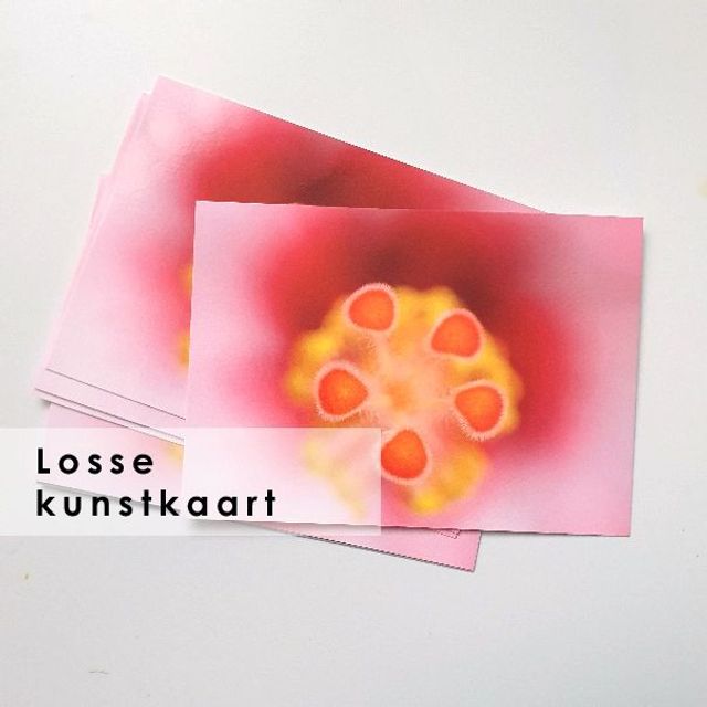 Losse postkaart Vlammend Hart - liggend (zonder envelop)