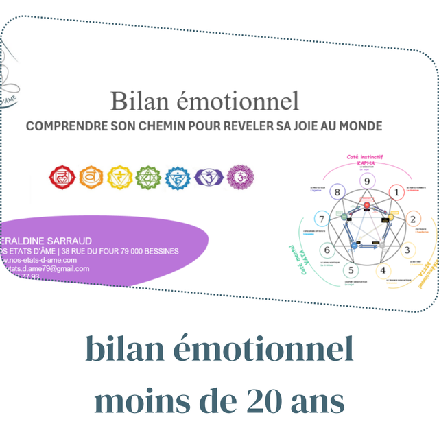 BILAN EMOTIONNEL EN VERSION PDF POUR LES  MOINS DE 20 ANS