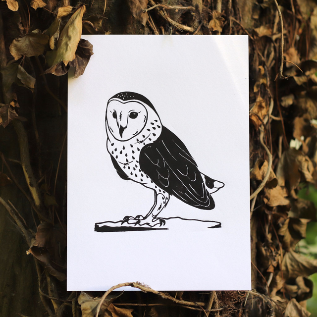 Linogravure A4 Chouette Effraie