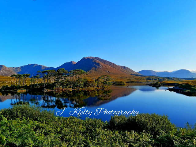 Early mid Morning, Pine Island, Derryclare Lake, Connemara, County Galway. 