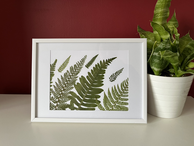 Fern 03