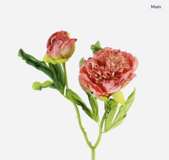 Dried Touch Ruffled Peony Stem 49cm