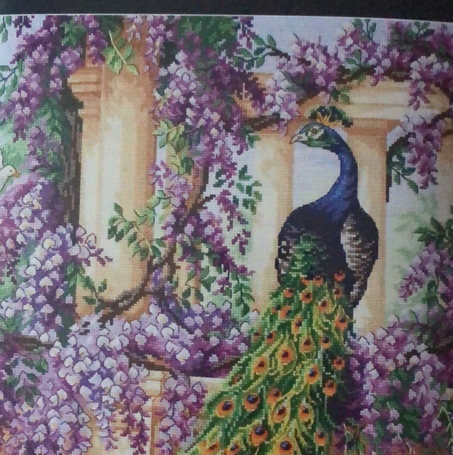 Anchor Maia Collection - Peacock