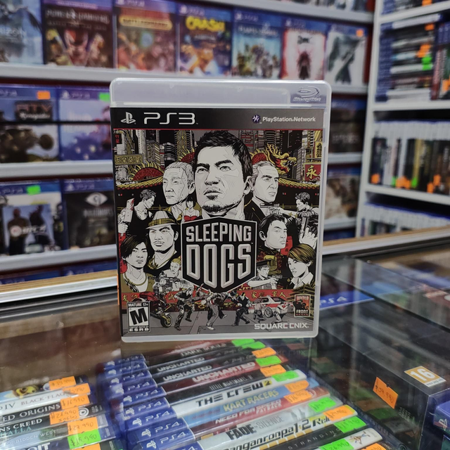 Sleeping Dogs Usado