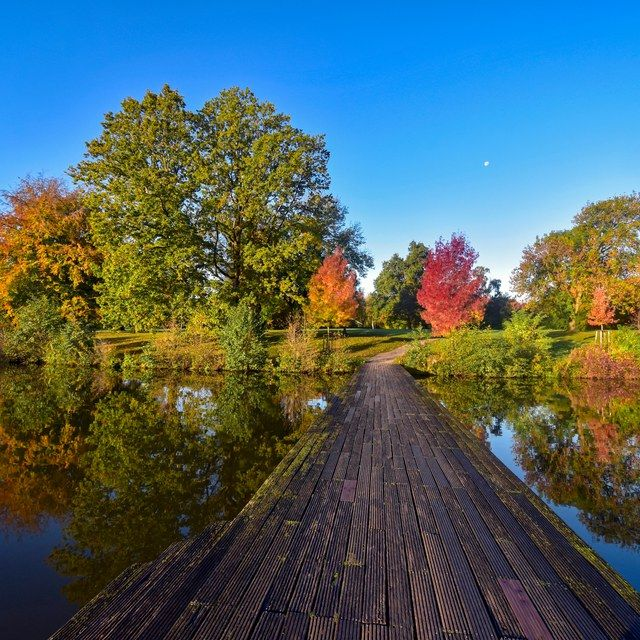 Holzsteg im Herbstspiegel