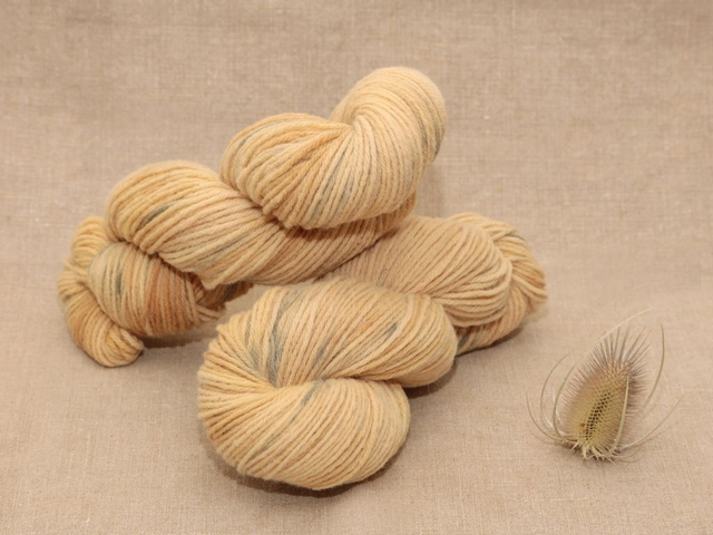 Mérinos DK - Echeveau 100g Paupiette Surprise