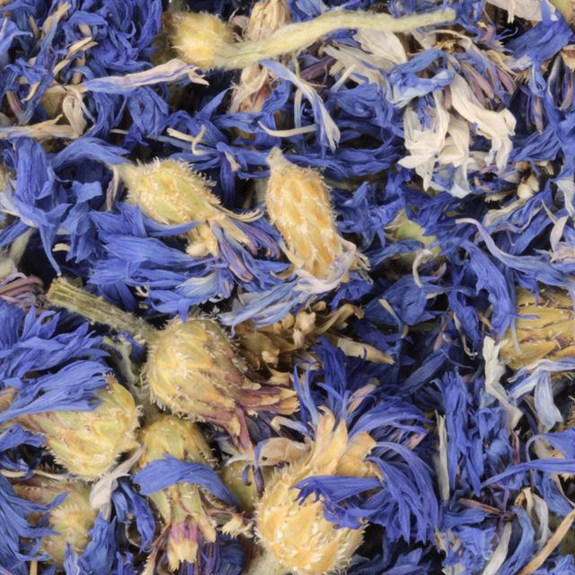 Korenbloem met kelk (Cornflower with calyx) (Centaurea cyanus) - BIO