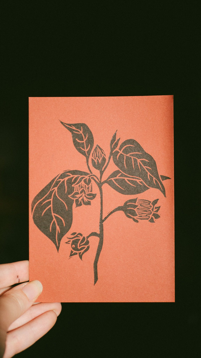 Linogravure - Belladone - A6