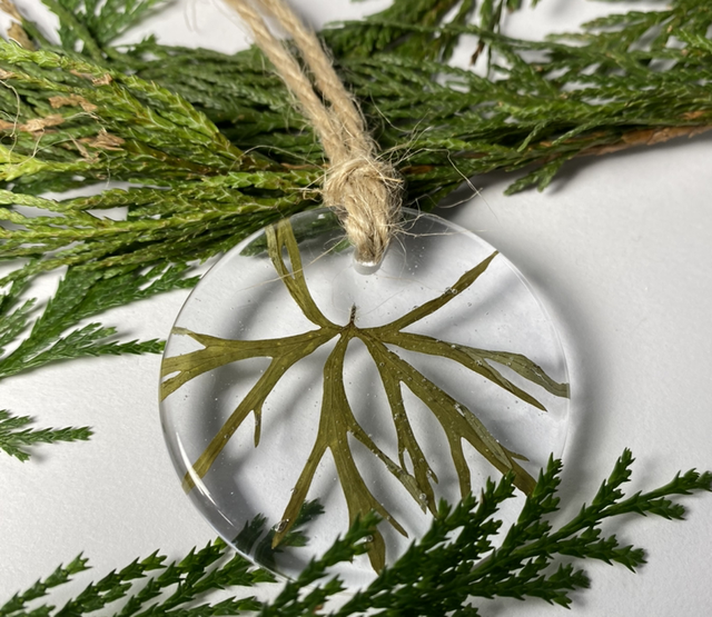 Boules de Noël fougère 