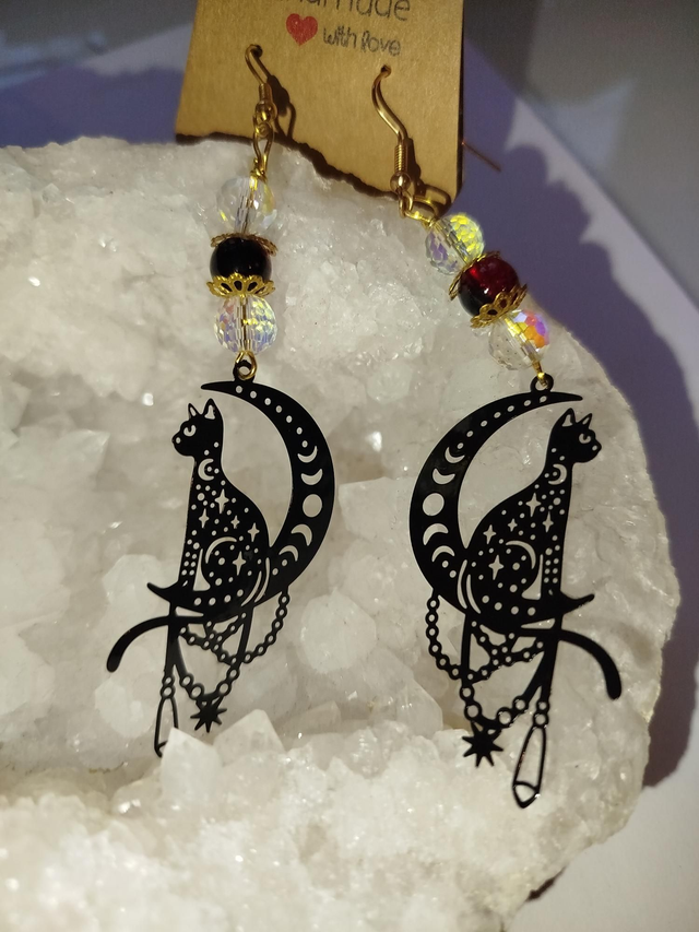 Chats d&#039;ébène 