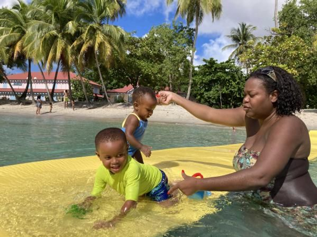 Jardin Aquatique Annuelle