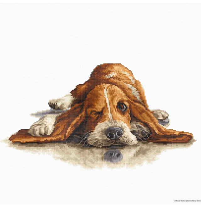 Basset