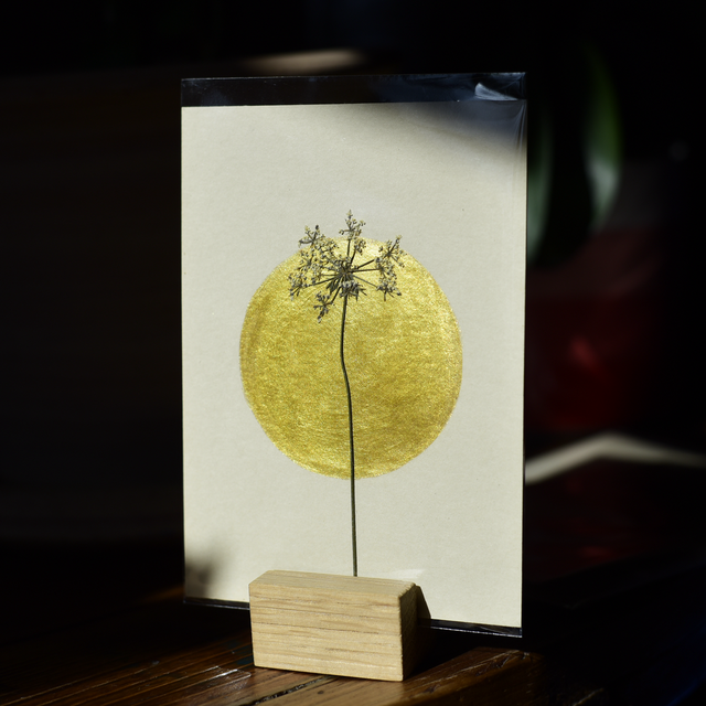 carte postale • cerfeuil III