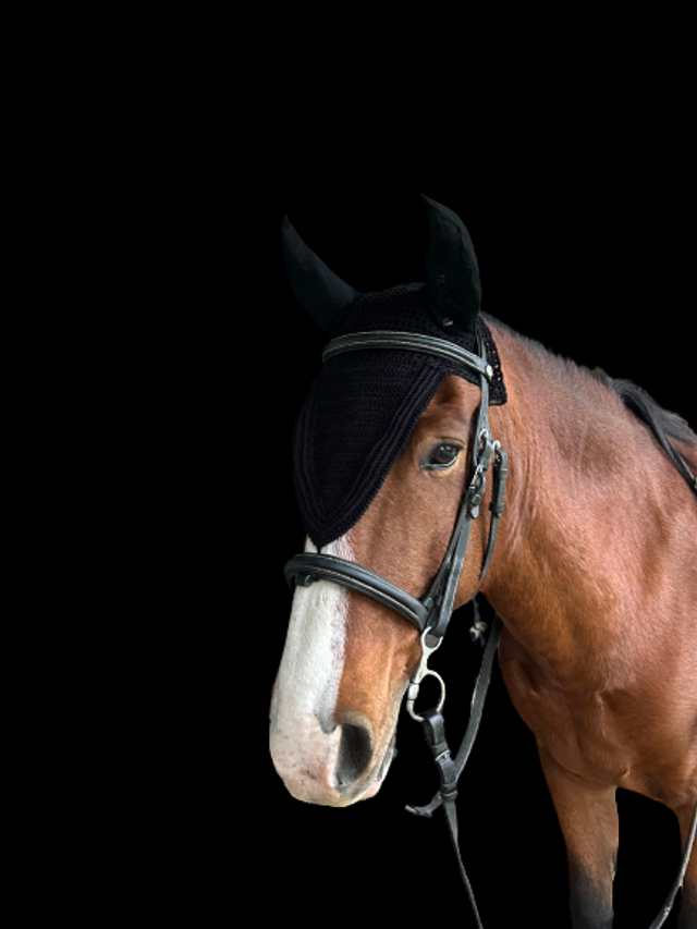 BONNET PADDOCK "PRO COTON LONG"