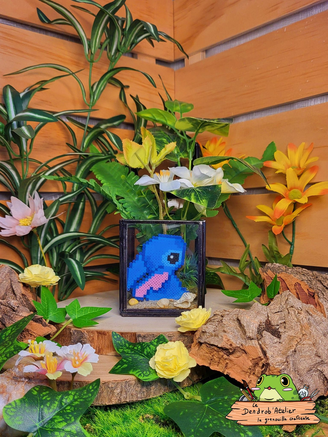 Compagnon sur la plage