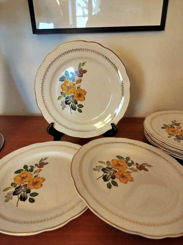 Assiettes plates Digoin Tamaris (lot)