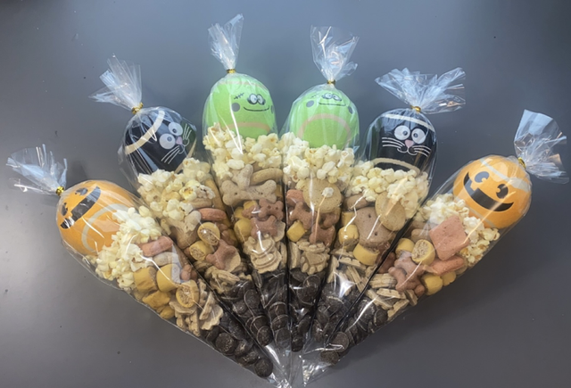 Halloween dog cones 