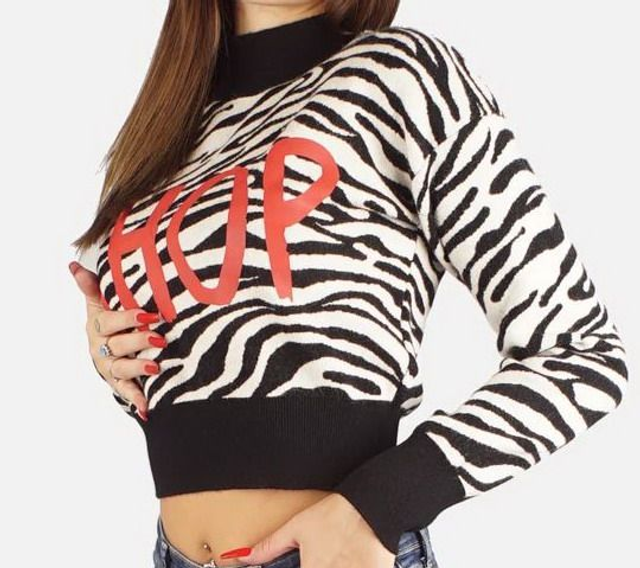 SHOP ART MAGLIA ZEBRATA DOLCEVITA