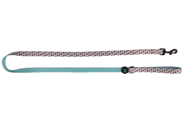 Auutermelon Leash