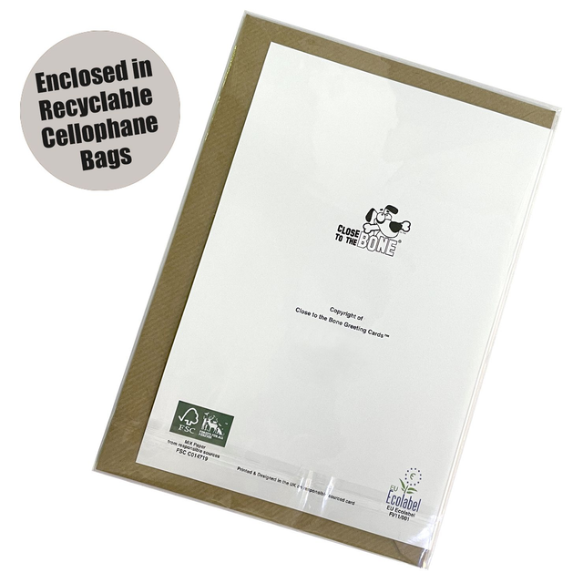 #168e Sprocker Spaniel Dog Card