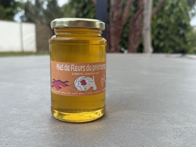 Miel de Fleurs du Printemps 500grs 