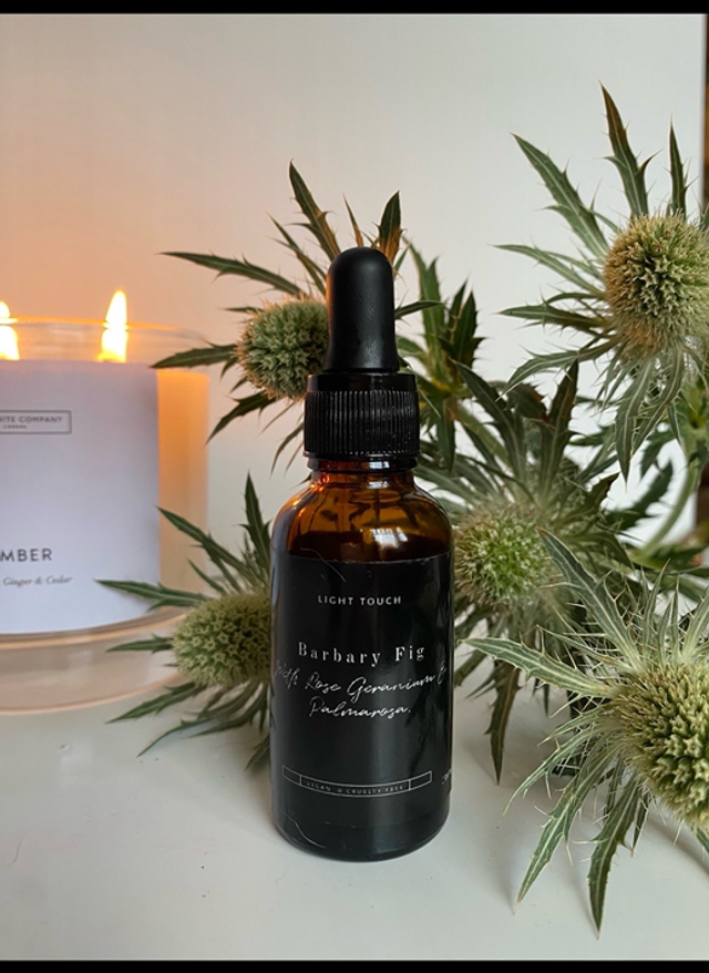 Barbary Fig ( Prickly Pear)