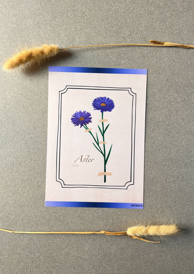 Affiche 09. L&#039;Aster (septembre) 