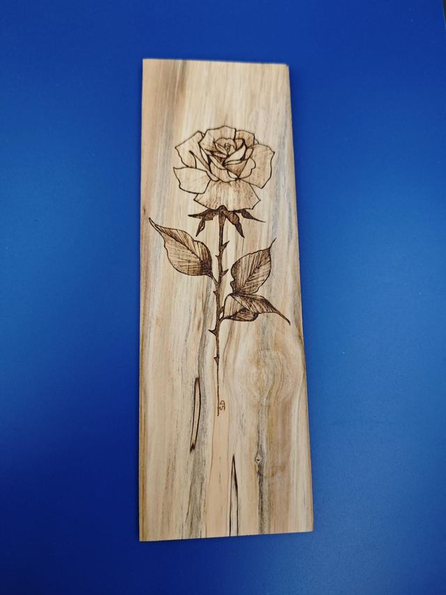 Rose éternelle 
