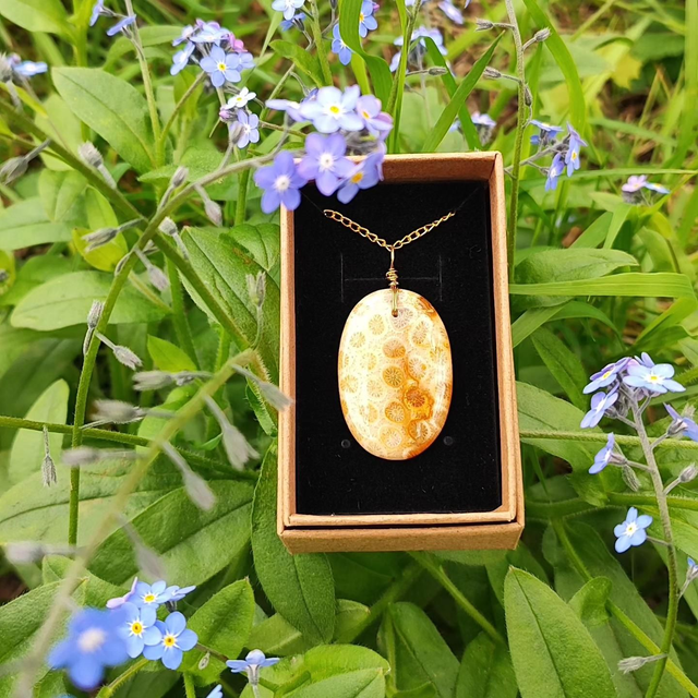 Trésor du monde &quot;Corail Fossile&quot;