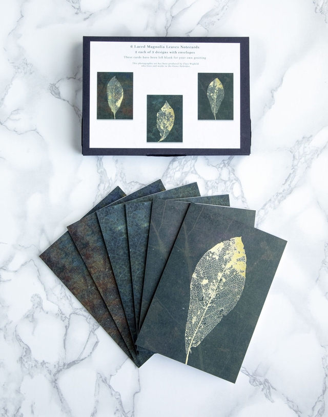 Magnolia Leaves Blank Note Cards x6