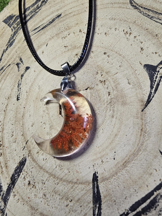 Lune fougères rouge