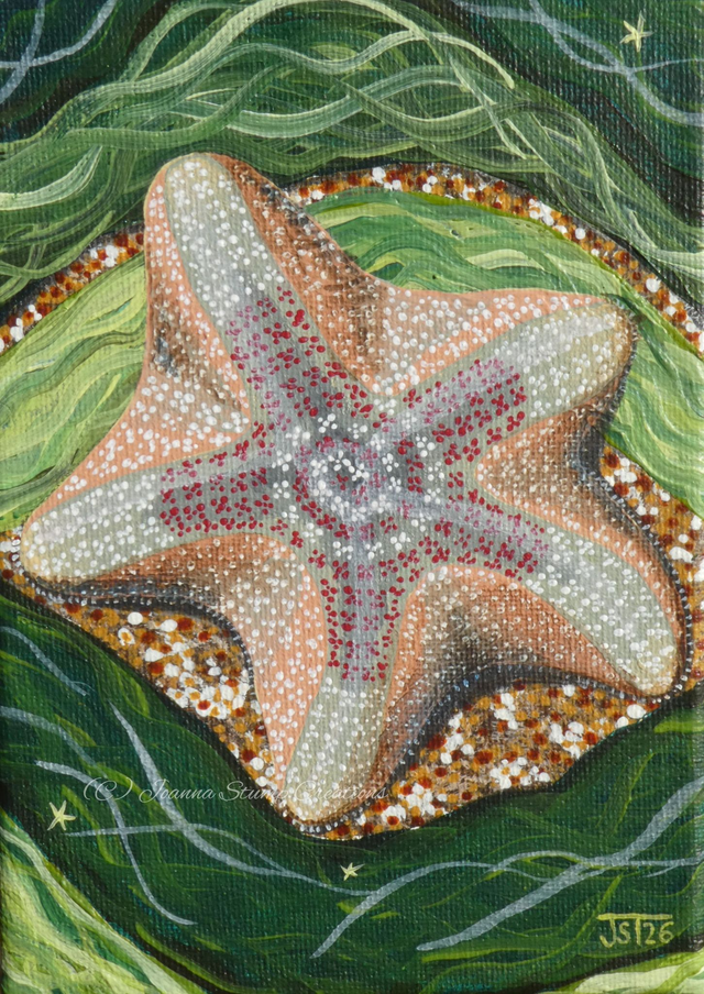 Lovely Original Fine Art Mini Painting from my "Mini Worlds" collection, "Cushion on Coral"