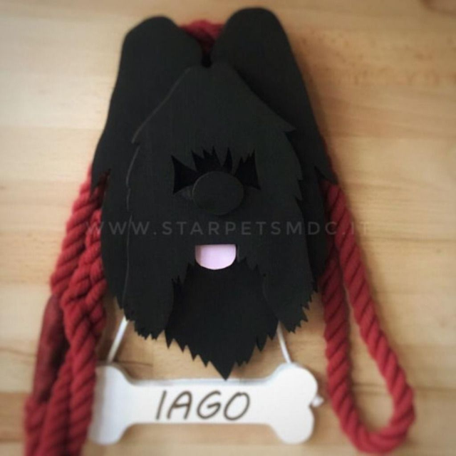 Appendi Guinzaglio Pastore Briard