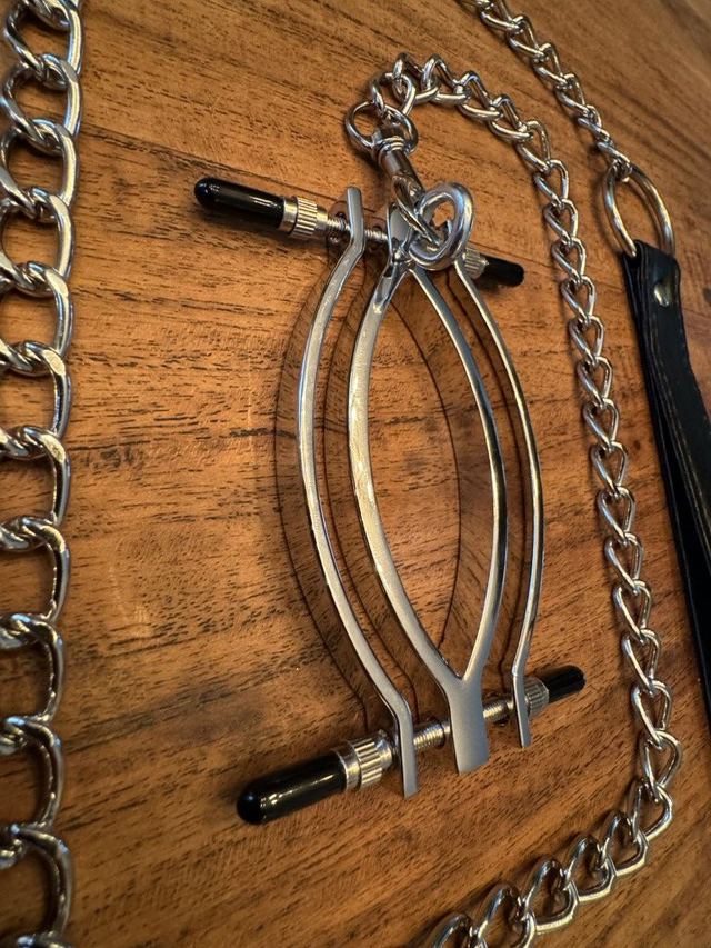 Pussy Clamp met Leash