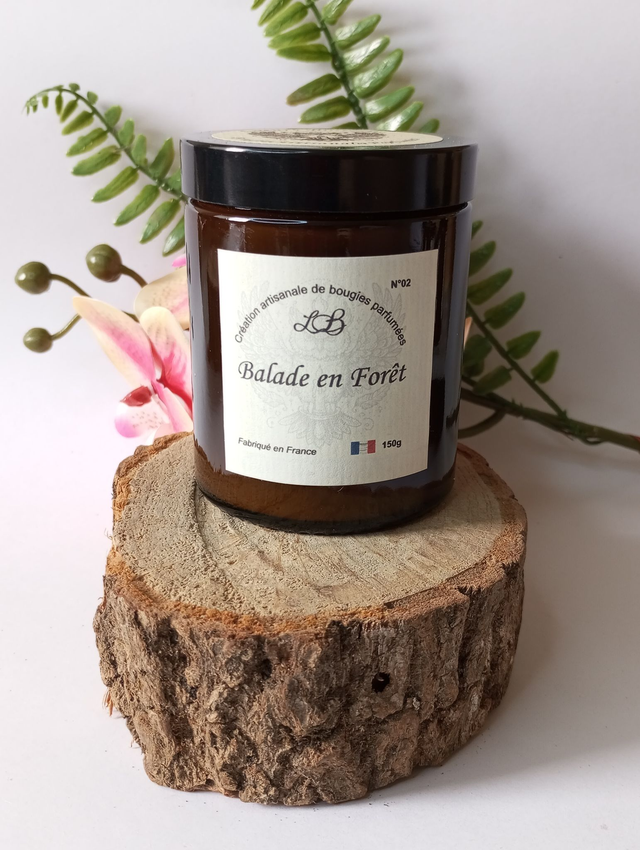 Balade en forêt