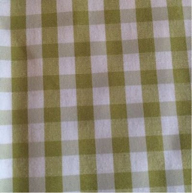 Gingham 1/4 Lime 261