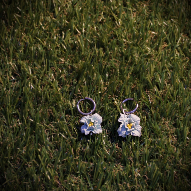 Moyennes Myosotis - Argenté