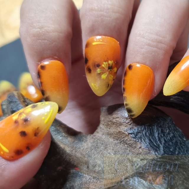 Buttercup sunset little amande xs( créer a la commande délai 7 jours)