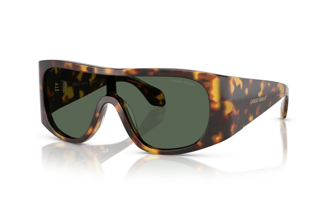 Eyewear Man Giorgio Armani  AR 8222U 509271