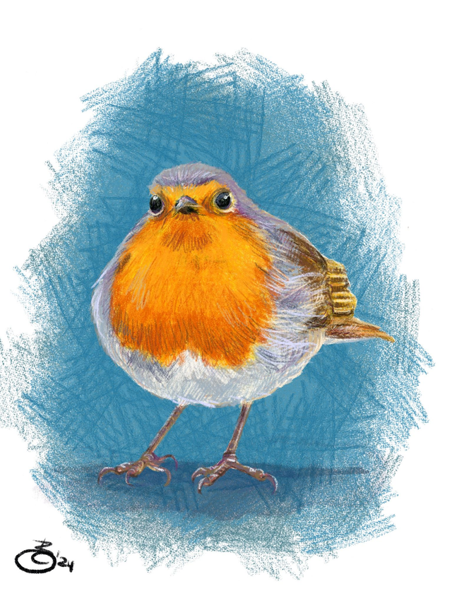 FineArt-Print - Rotkehlchen stehend in Buntstift