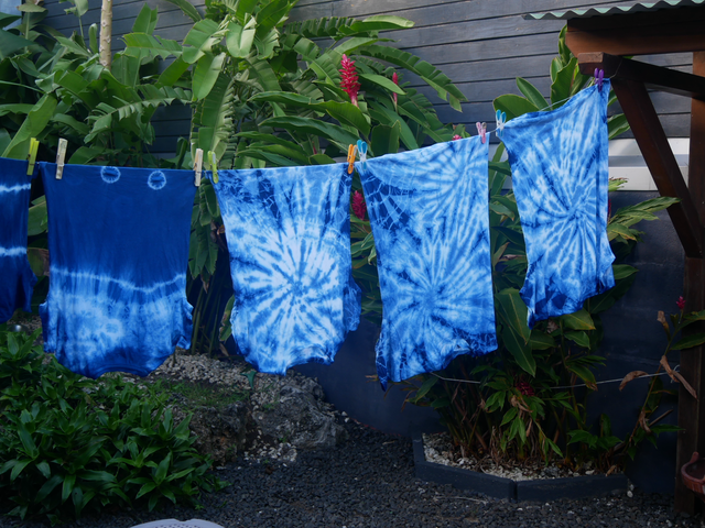 Atelier indigo dimanche samedi 22 février